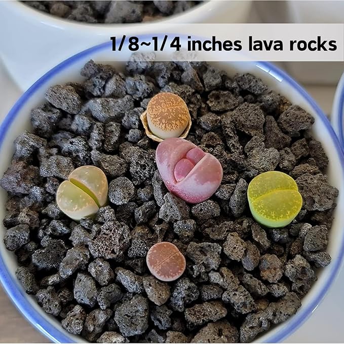 7lb Black Lava Rock for Plant, 1/8-1/4 inch Horticultural Volcanic Rock Soil for Decorative Landscaping Bonsai, Cacti, Succulents Plants Top Dressing for Release Excess Water