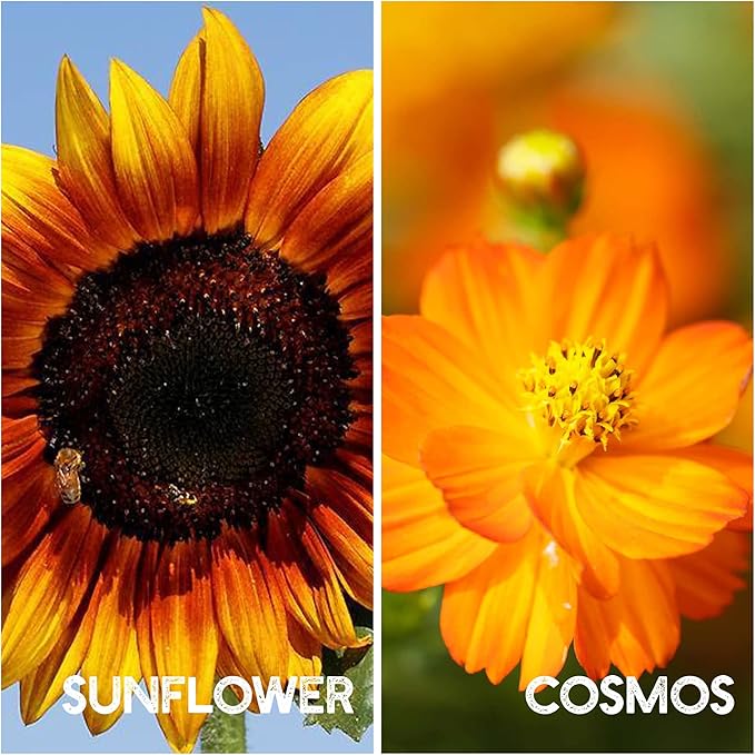 35 Varieties of Flower Seeds for Planting, ~20,000 Seeds - Includes Annuals, Perennials, & Wildflowers - Our Largest Assortment of Bulk Flower Seeds - Premium Flower Garden Seed Collection