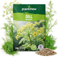 Bouquet Dill Seeds for Planting - 500+ Heirloom, Non-GMO Seeds - Herb Seeds Packet for Plating Home Garden, Herb Garden - Indoor/Outdoor, Easy to Grow