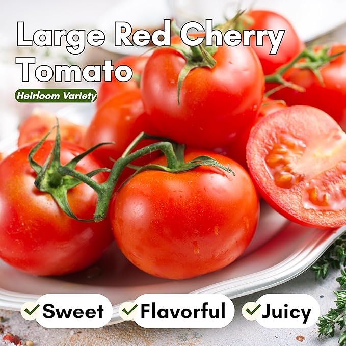 Large Red Cherry Tomato Seeds for Planting – Heirloom, Non-GMO Cherry Tomatoes, Sweet & Juicy Flavor, High Yield for Home Gardens | Woods Creek Seeds