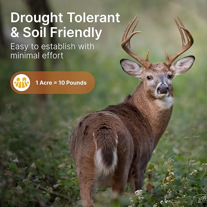 HIT LIST SEED® Alfalfa + Clover Food Plot Seeds for Deer [Perennial] - Food Plot Seed Perennial - Deer Plot Seed Mix - Ladino/Red/Crimson Clover, Alfalfa, Chicory - Spring & Fall Planting - 5 lbs