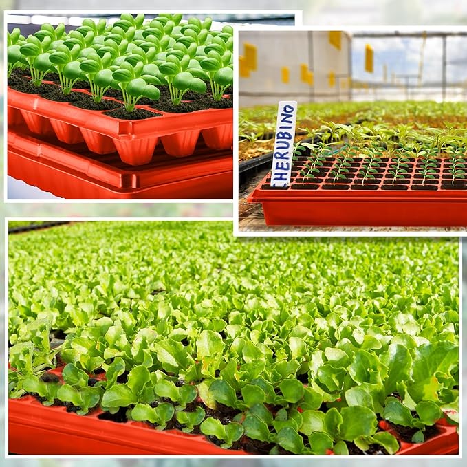 Romooa 10 Pcs Seed Starter Kit 72 Cell Seedling Starting Trays and 1020 Trays No Holes Plant Growing Nursery Pots for Gardening Germination Propagation (Brick Red)