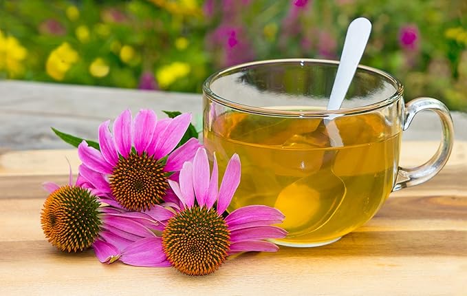 Herbal Tea Seeds Collection, 2000 Seeds, 4 Heirloom Non GMO Varieties, Chamomile, Lemon Balm, Mint, Purple Cone Flower.