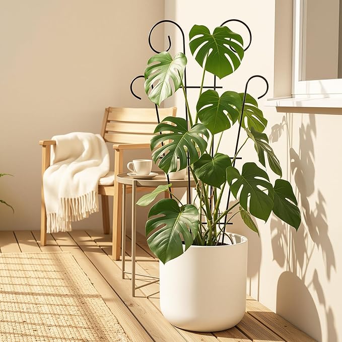 4 Pack 32 Inch Plant Trellis for Potted Plants, Metal Garden Trellis for Climbing Plants, Indoor Outdoor Decorative Vine Support for Pots, Wave Shape, Black