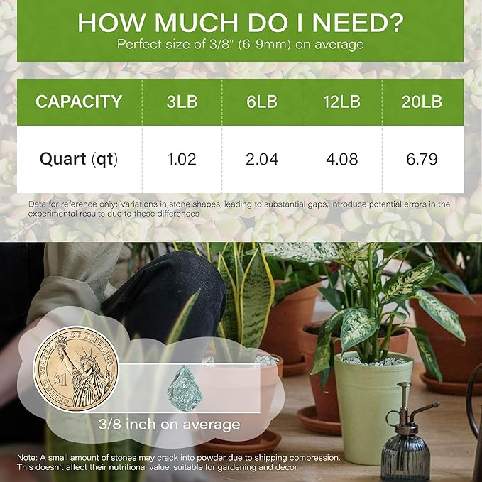 NUPICK 3lb Green Zeolite for Plants, 3/8" Natural Succulent Potting Soil Amendments, Decorative Gravel for Cactus, Bonsai Gritty Rock, Pebbles Pumice for Vase Fillers, Top Dressing