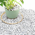 18 Quarts Chunky Perlite for Plant Soil Amendment for Potting Soil, Improves Drainage and Aeration for Soil, Ideal for Succulents, Orchid, Flower Plants (1/4 inch)