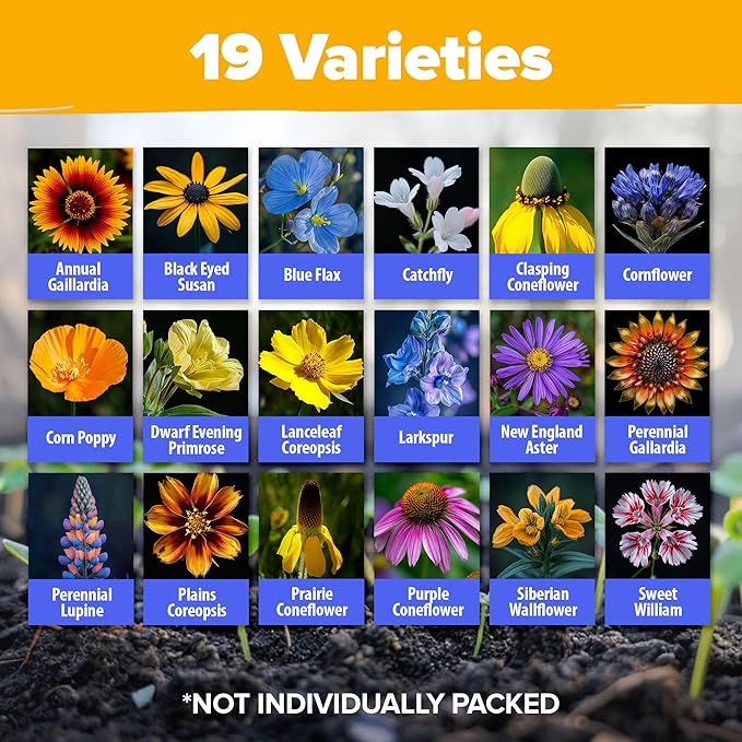 HOME GROWN 65,000+ Wildflower Seeds Heirloom Perennial Flower Seeds Mix for Attracting Bees Birds & Butterflies, High Germination (Midwest, 4 oz)
