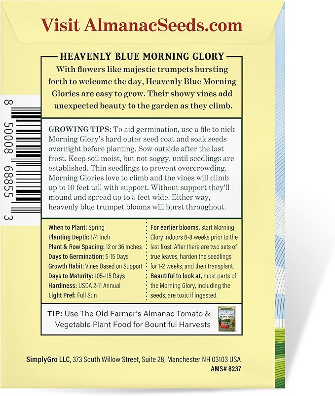The Old Farmer's Almanac Morning Glory Seeds (Heavenly Blue) - Approx 50 Flower Seeds - Premium Non-GMO, Open Pollinated, USA Origin