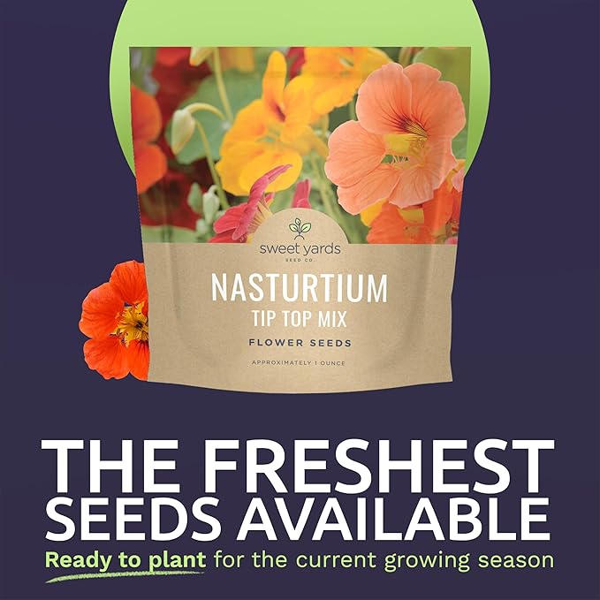 Nasturtium Tip Top Mix – Large 1 Ounce Packet – 200 Flower Seeds for Planting – Tropaeolum majus