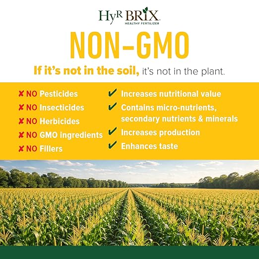HyR BRIX Slow-Release 16-7-10 Sweet Corn Fertilizer, 5lb Bucket - Corn Food with Calcium & Sulfur - Essential Micronutrients for Big, Uniform Ears & Sweet Flavor