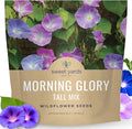 Morning Glory Tall Mix - Large 1 Ounce Packet - 750 Flower Seeds for Planting - Ipomoea purpurea