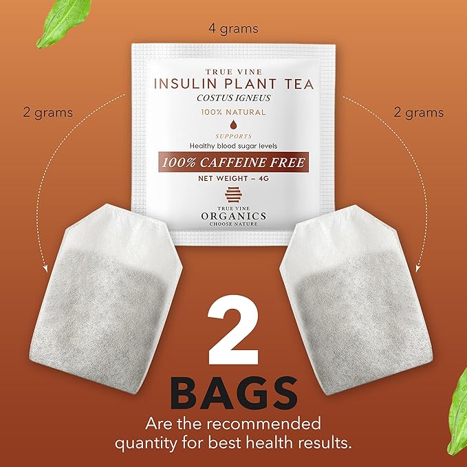 True Vine Insulin Plant Tea (USDA Organic) — Herbal Organic Tea Bags for Blood Sugar Support, Digestive Wellness & Metabolic Balance — 100% Natural, Caffeine-Free, No Additives – 31 Sachets (4g Each)