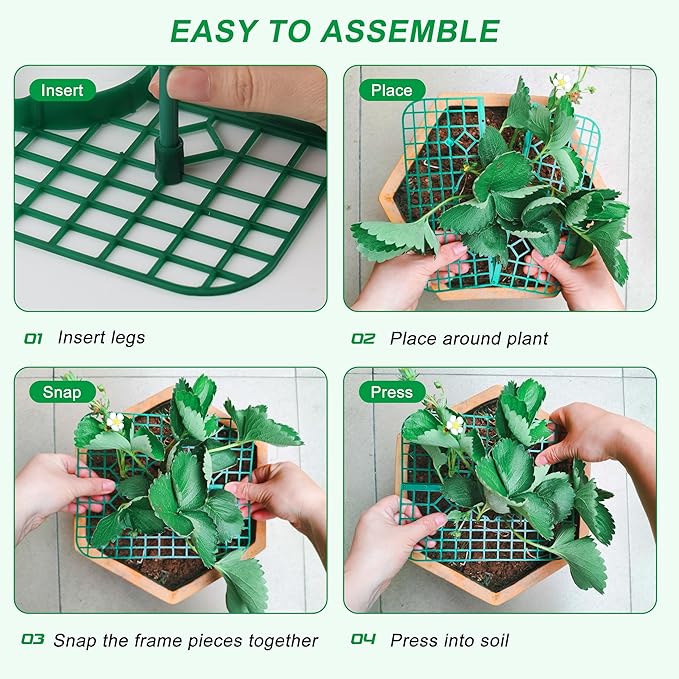 Strawberry Plant Support, 10 Pack, Raised Grid Stand to Keep Strawberries Off the Ground, Strawberry Holder for Garden Beds, Raised Planters & Pots (Square)