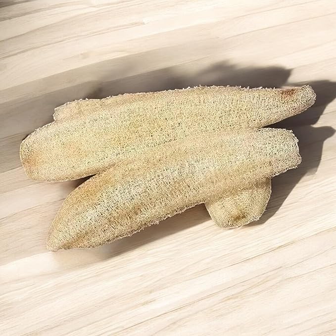 NYGardenia 20 Ridged Sponge Gourd Seeds – Angled Luffa Heirloom Vegetable for Home Gardens, Non-GMO and Easy to Grow