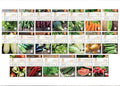 Bentley 20 Pack Garden Seeds for Planting - Non GMO Vegetable Variety Pack for Indoor and Outdoor Growing