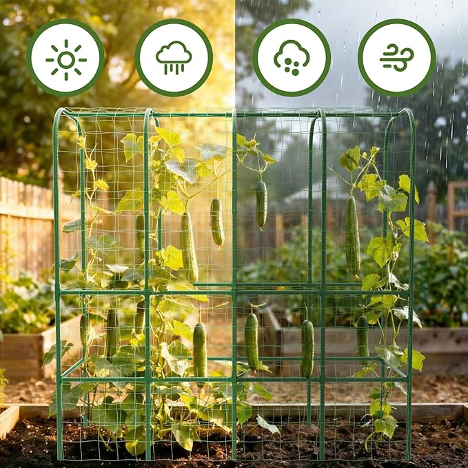 62" Tall Cucumber Trellis for Raised Bed, Garden Trellis for Climbing Plants Outdoor, U-Shape Metal Arch Vegetables Trellis Plant Support for Zucchini Squash Vines