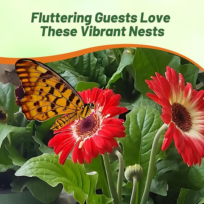 Outsidepride Bicolor Mix Gerbera Seeds - 20 Pcs Perennial, Compact & Low Maintenance, Flower Seeds for Planting w/Vibrant Mixed Blooms, Ideal for Garden Landscaping & Cut Flower Arrangements