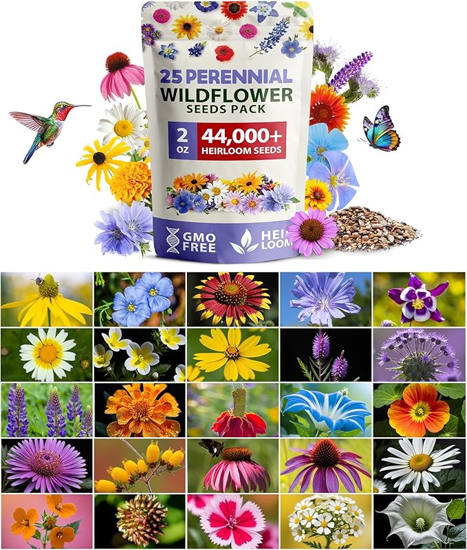 HOME GROWN Wildflower Seeds - 44,000 Non GMO USA Perennial Seeds (2oz) 19 Varieties for Butterfly & Pollinator Garden - Wild Flower Seed Mix for Full Sun & Shade