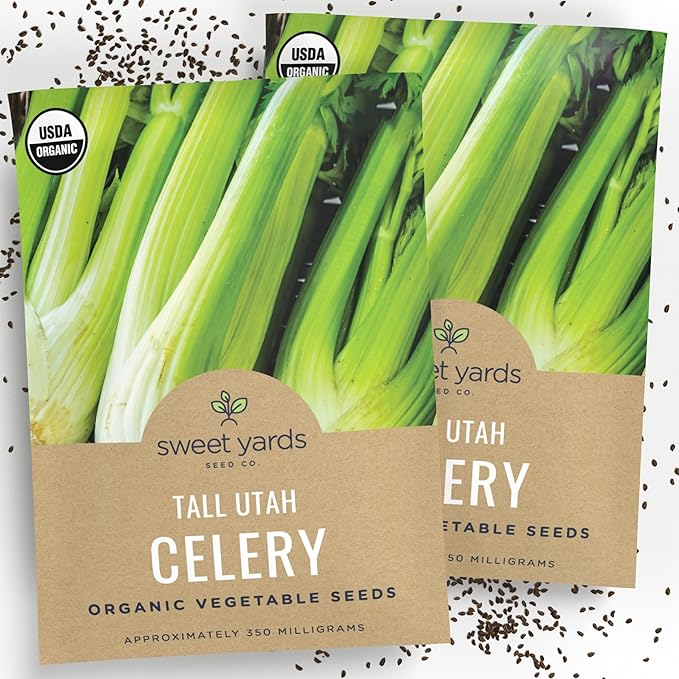 Organic Celery Seeds ‘Tall Utah’ – Two Seed Packets! – Over 1,926 Open Pollinated Heirloom Non-GMO Seeds – Sweet Yards Seed Co.