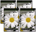 Sow Right Seeds - Shasta Daisy Flower Seeds for Planting - Non-GMO Heirloom Packet with Instructions - Attract Butterflies and Excellent for Cutting - White Blossom with Yellow Centers (4)