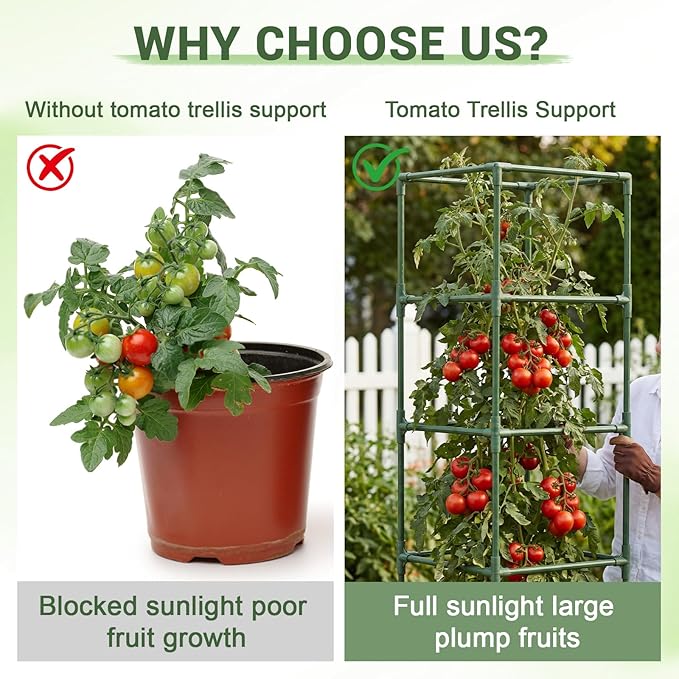 3 Pack Tomato Cages with Grow Bags, 59 Inch Adjustable Square Plant Support Trellis, Steel Core Plastic Coated Tomato Plant Stakes for Garden Vegetables, Cucumbers, Peppers