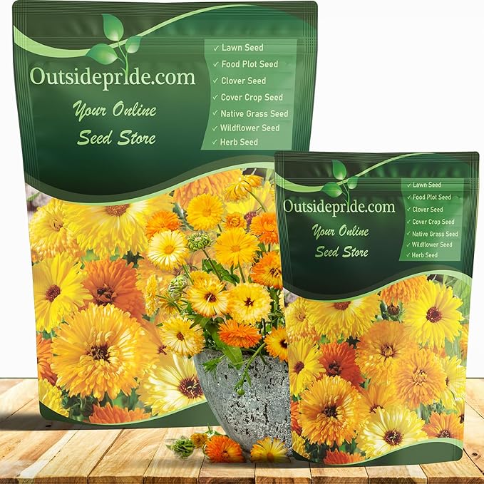 Outsidepride Mix Calendula Seeds - 1/4 lb. Annual Edible Flower Seeds for Planting for Dishes & Wellness Uses, with Vibrant Blooms for Cut Flower, Container, & Pollinator Gardens