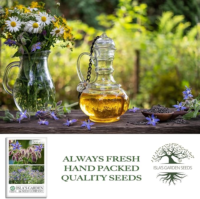 Borage Flower & Herb Seeds (Borago officinalis) – 125+ Non-GMO Heirloom Seeds by Isla’s Garden Seeds, Edible Blue Blossoms for Garnish & Herbal Tea, Pollinator-Friendly Annual, Easy to Grow, Gift Idea