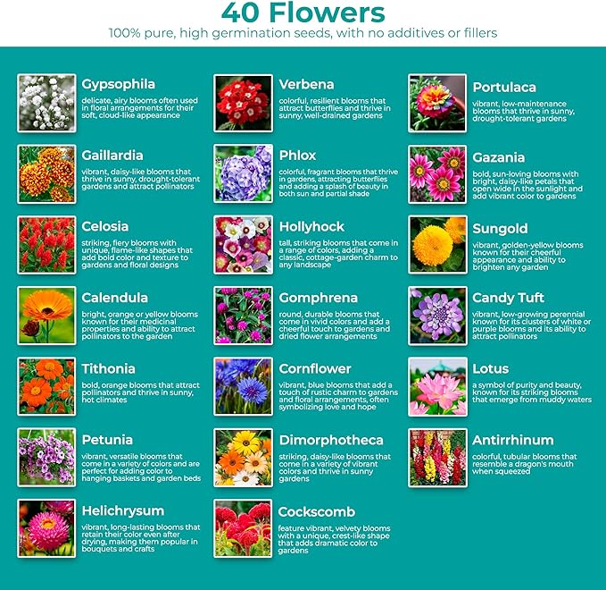 2200+ Mixed Flower Combo Seed Pack for Your Home Garden, 40+ Variety Flower, Including Petunia, Zinnia, Sunflower and More, Attracts Pollinators, Non- GMO and Heirloom
