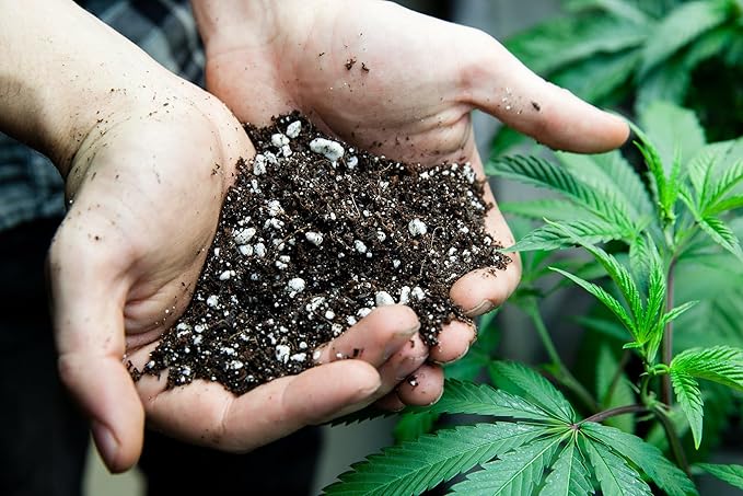 Gardenera Organic Autoflower Plants Potting Soil Mix - Perfect Balance of Nutrients, Drainage, and Aeration for Thriving Autoflower Plants- 3 Quart
