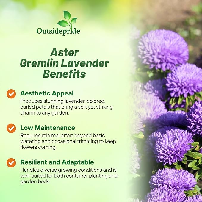 Outsidepride Gremlin Aster Seeds - 1000 Pcs. Annual, Hardy & Pollinator Friendly Flower Seeds for Planting Vibrant Lavender Blooms and Oval-Shaped Leaves, Great for Meadows & Aesthetic Gardens