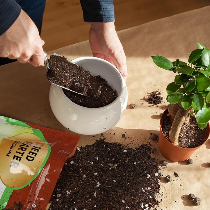 Seed Starter Potting Soil Mix 4qt, Seed Starting Mix for Germination and Growth, Loamy Compost Well-Drainaged Soil Fit for Vegetable, Flower, houseplant