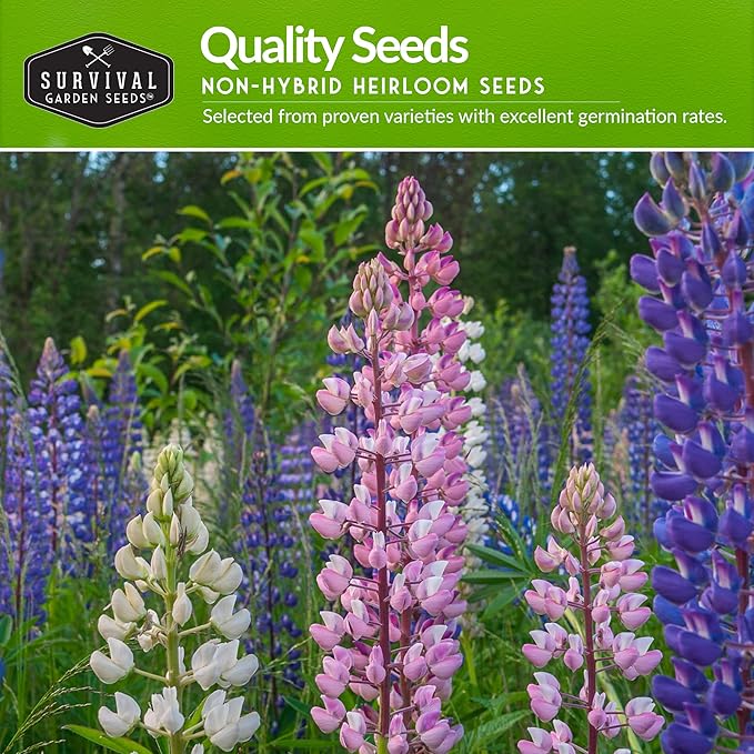 Perennial Flowers Seed 5 Pack for Planting - Shasta Daisy, Purple Coneflower, Russell Lupine, Rose Mallow, Blue Sage, Wildflower Mix- Heirloom Open-Pollinated | Survival Garden Seeds