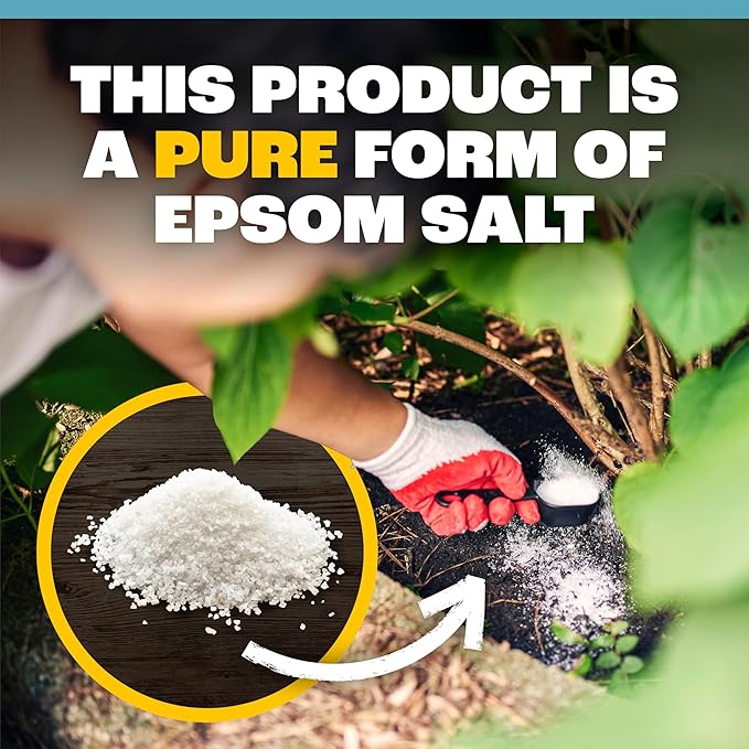 Pennington 397606 Epsom Salt Plant Nutrient, 7 lb