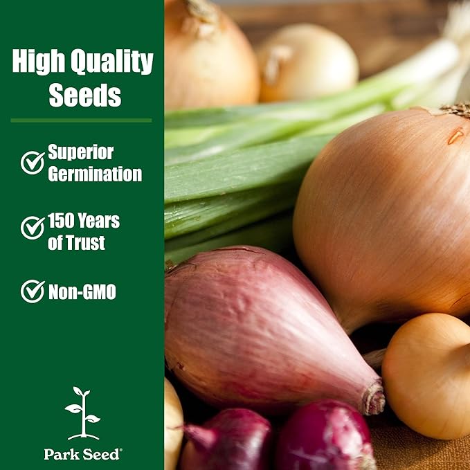 Park Seed Candy Hybrid Onion Seeds – Day-Neutral Yellow Variety, Early and Flavorful 135-Day Maturity, Grows Nationwide, Large Sweet-Savory Bulbs, Ideal for Spring Planting – Pack of 200 Seeds
