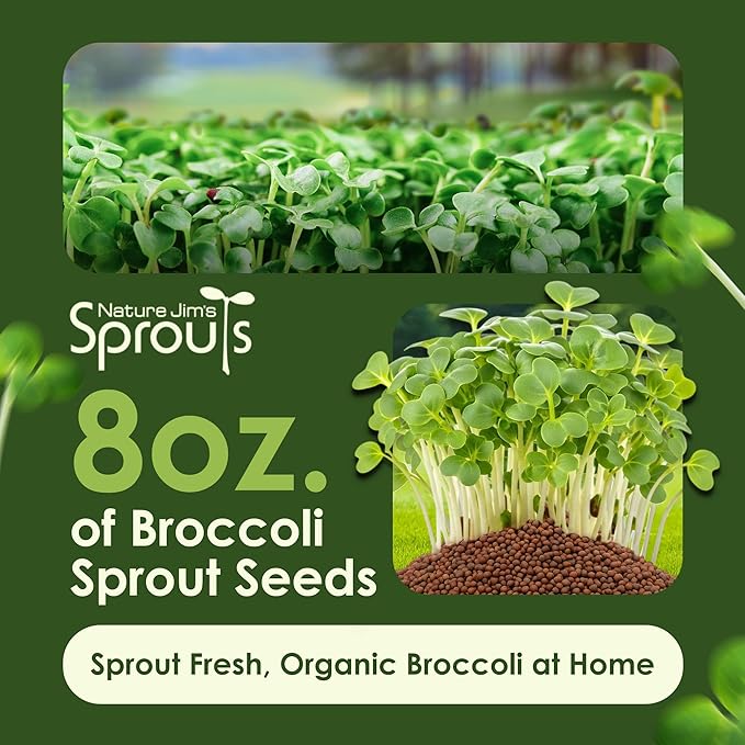 Nature Jims – Organic Broccoli (8oz) & Alfalfa (16oz) Sprouting Seeds, Non-GMO Microgreens for Indoor/Outdoor Gardening, Rich in Vitamins, Minerals & Nutrients Bundle