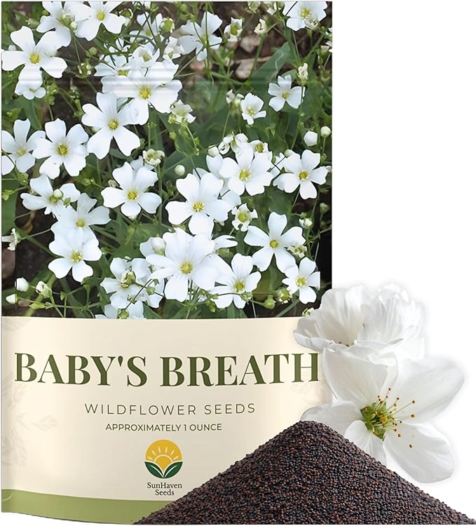 Baby’s Breath Seeds – 20,000+ Seeds – 1 oz Bulk Resealable Packet – Quick Blooming Gypsophila elegans Flower Seeds with White Blooms for Bouquets, Borders & Wildflower Gardens