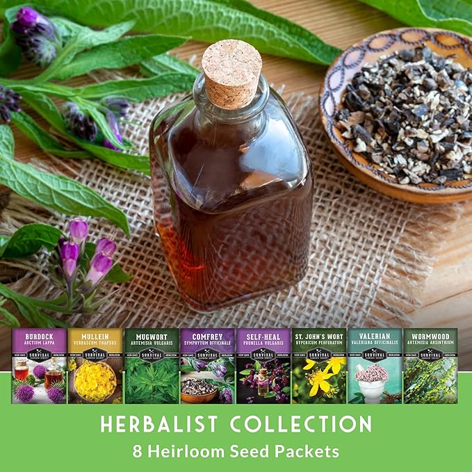 Advanced Medicinal Herb Seeds Collection – 8 Variety Pack for Planting with Comfrey, Mullein, St John’s Wort, Valerian, Mugwort – Heirloom Apothecary Herbalist Bundle by Survival Garden Seeds