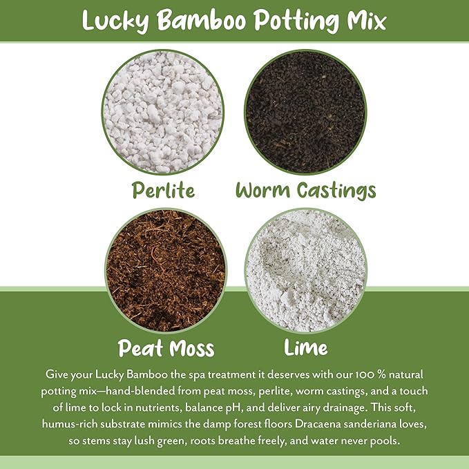 Soil Sunrise Lucky Bamboo Plant Potting Mix (4 Quarts) Custom Soil Mix for Repotting