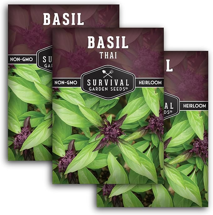 Survival Garden Seeds - Thai Basil Seed for Planting - 3 Packets with Instructions to Plant and Grow Asian Basil Indoors or Outdoors in Your Home Vegetable Garden - Non-GMO Heirloom Variety