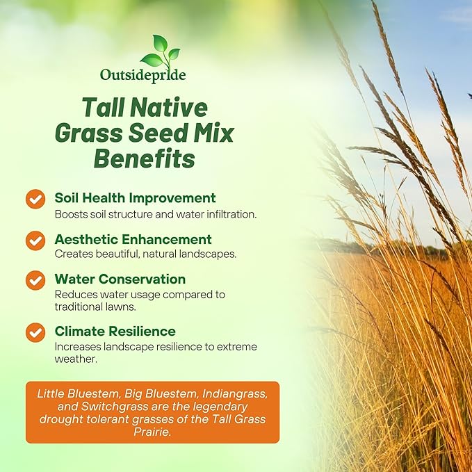 Outsidepride Perennial Tall Native Grass Seed Mix - 1 lbs. Blend of Drought-Tolerant, Low-Maintenance Bluestem, Switchgrass & Indian Grass Seeds for Wildlife Habitat, Erosion Control & Landscaping
