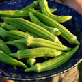 Perkins Long Pod Okra - 50 Seeds - Heirloom & Open-Pollinated Variety, Easy-to-Grow, Non-GMO Vegetable Seeds for Planting Outdoors in The Home Garden, Thresh Seed Company