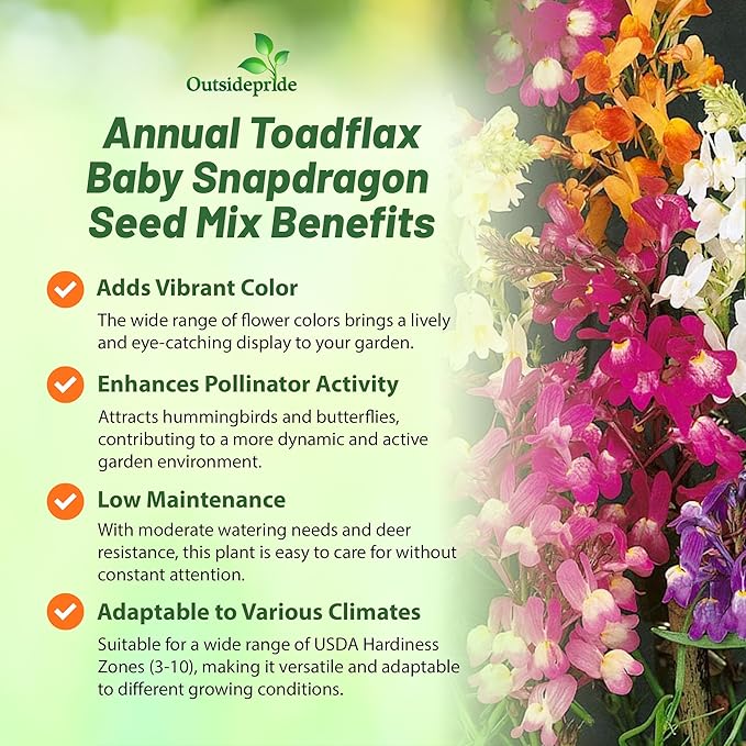 Outsidepride Toadflax Baby Snapdragon Seeds - 1/4 lb Annual, Deer-Proof, & Compact Flower Seeds for Planting Vibrant Blooms, Ideal for Pollinators, Borders, Small Gardens, or Containers