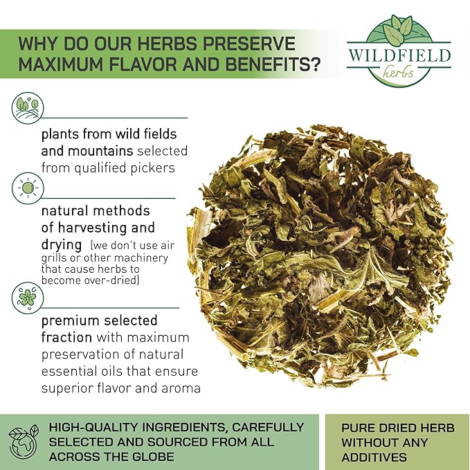 50 Bags Motherwort Tea Dried Motherwort Herb (Leonuri Herba) - 50 Tea Bags 1.5g Leonurus
