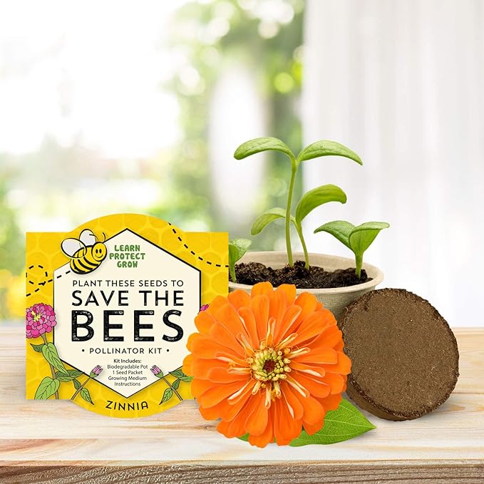 BUZZY Seeds 12 Pack Save The Bees Wildflower Grow Kits – 12 Biodegradable Pots with an Assortment of Coneflower, Zinnia, Daisy, Cosmos Seeds, Pollinator Garden Starter, Sustainable Party Favors
