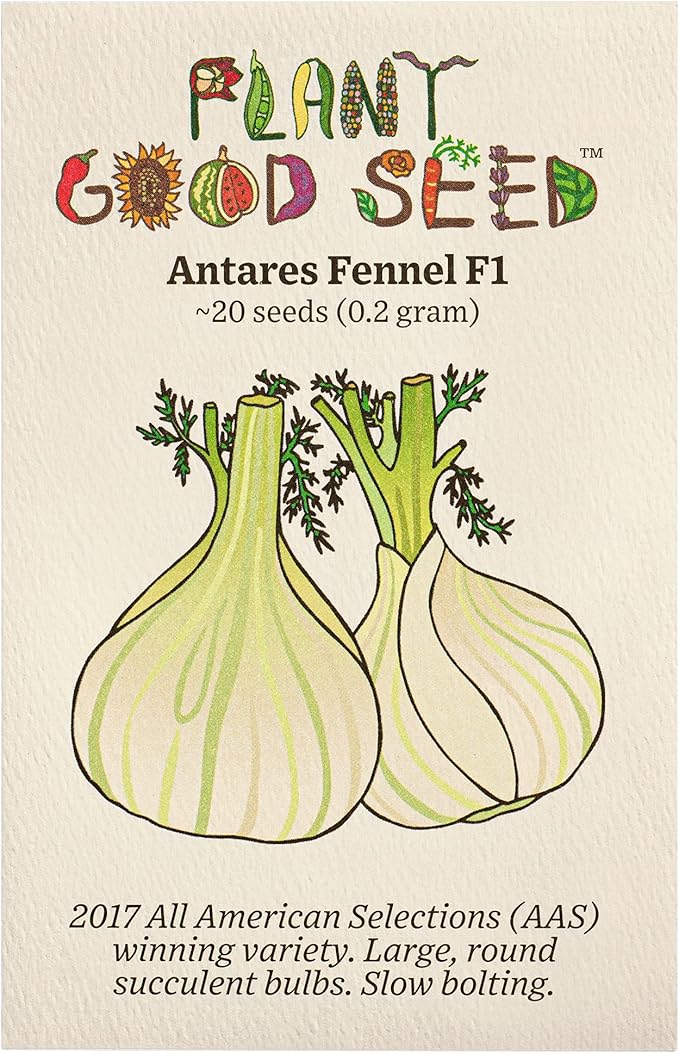 Plant Good Seed Organic Antares F1 Fennel Seeds - Pack of 20, Heirloom Seeds for Planting Herbs - Gardening Supplies, Vegetable, Flower, Herb Garden - Non-GMO, Open Pollinated, from USA