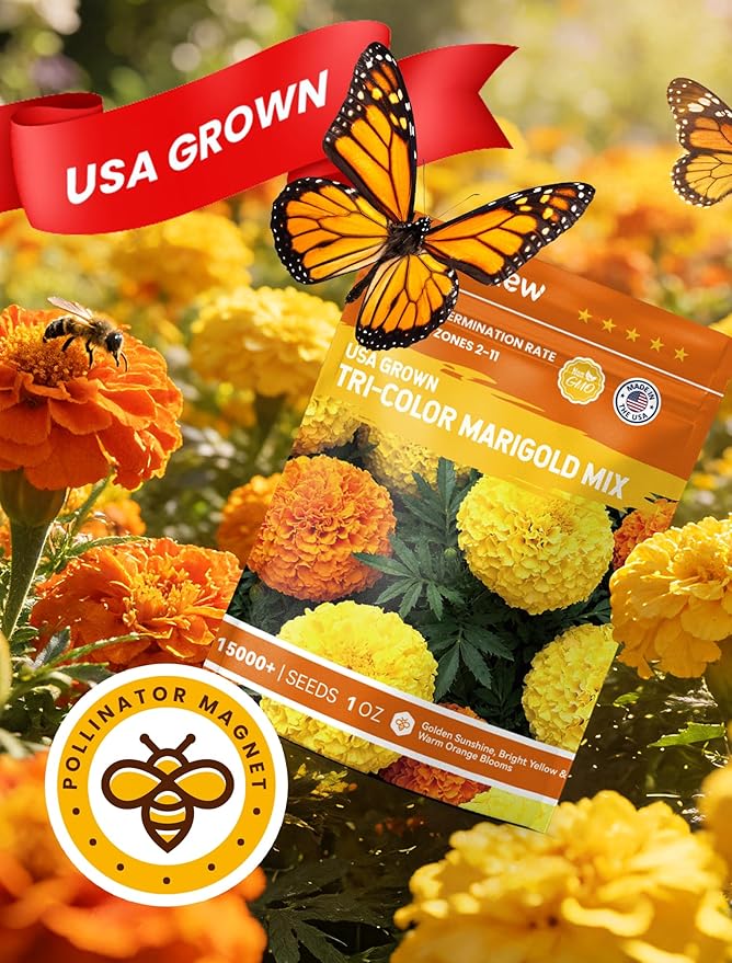 Tri-Color Marigold Seeds for Planting | 15,000+ Heirloom French Marigold Flower Seeds | Non-GMO, High Germination, USA Grown for Outdoor Gardens & Borders