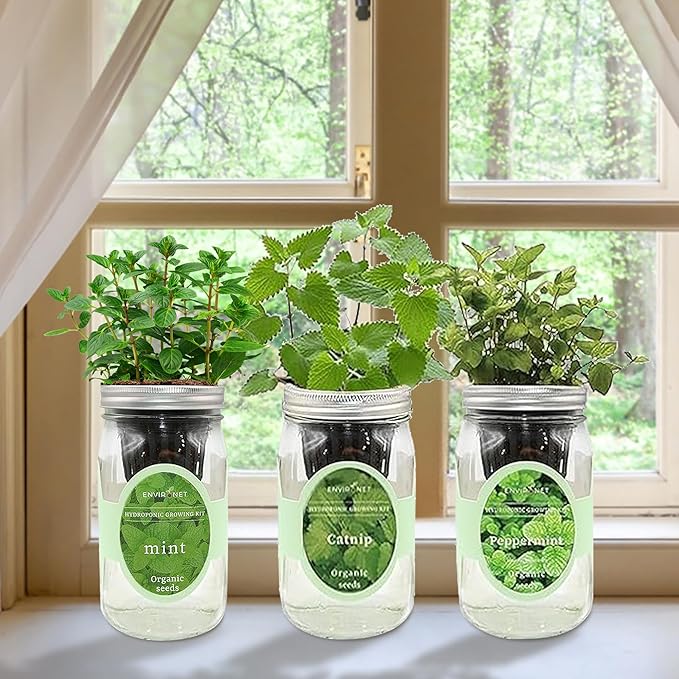 Hydroponic Herb Growing Kit Set, Self-Watering Mason Jar Herb Garden Starter Kit Indoor, New Christmas Gift for Mom (Mint, Peppermint & Catnip)