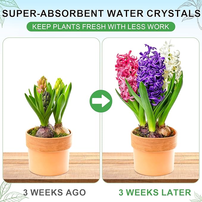 XSEINO 2.5LB Soil Moisture Crystals Water-Absorbing Hydrogel for Plants Solves Over and Under-Watering, Long-Lasting Water Retention to Keep Soil Moist Polymer Water Storage Crystals