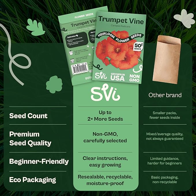 SVI 50 Red Trumpet Vine Seeds for Planting (Campsis radicans) – Trumpet Creeper Seed Packets, Hummingbird Flowers – Heirloom Flower Seeds to Plant Outside - Fences, Trellises, Outdoor Garden