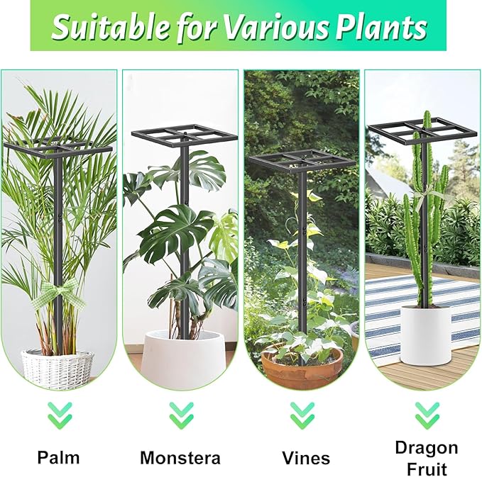 Dragon Fruit Trellis, Adjustable Metal Dragon Fruit Plant Trellis Durable Vertical Support Frame for Climbing Plants Trees Cactus Roses Vines Garden Outdoor Indoor, 1 Pcs